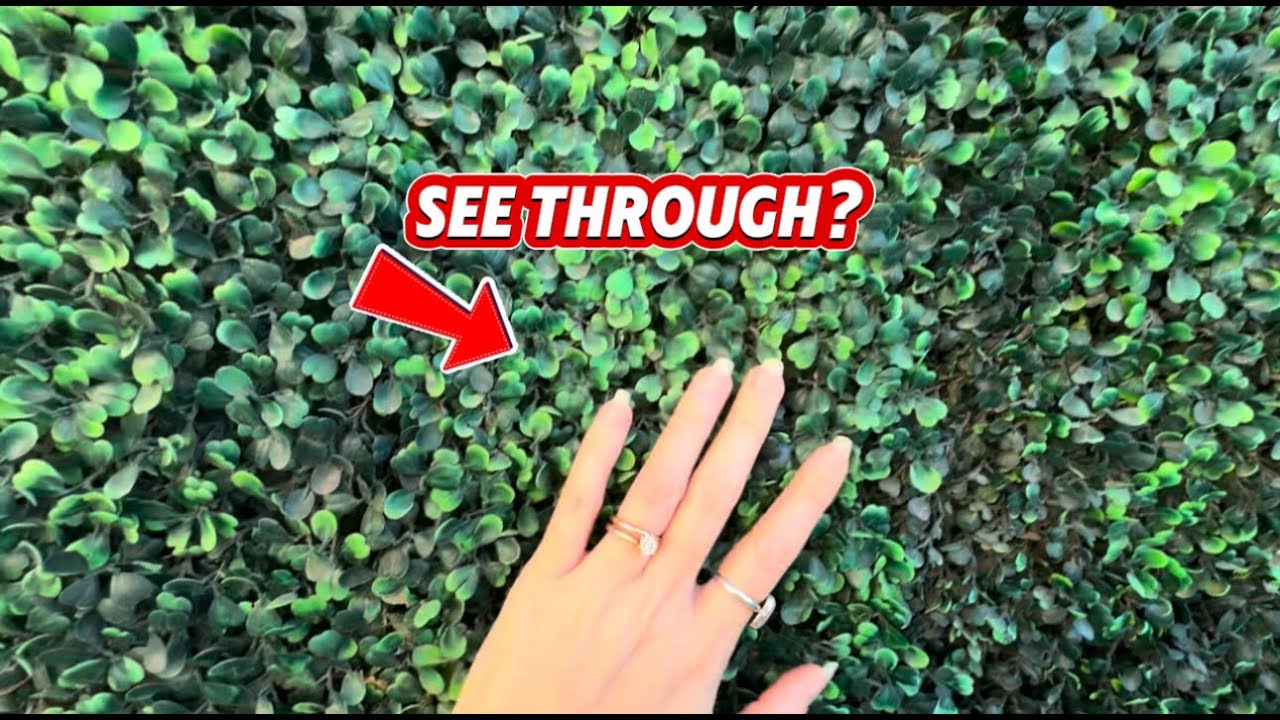 Greenery Wall Screen for Home & Garden -Fence Glow Up with Faux Ivy!