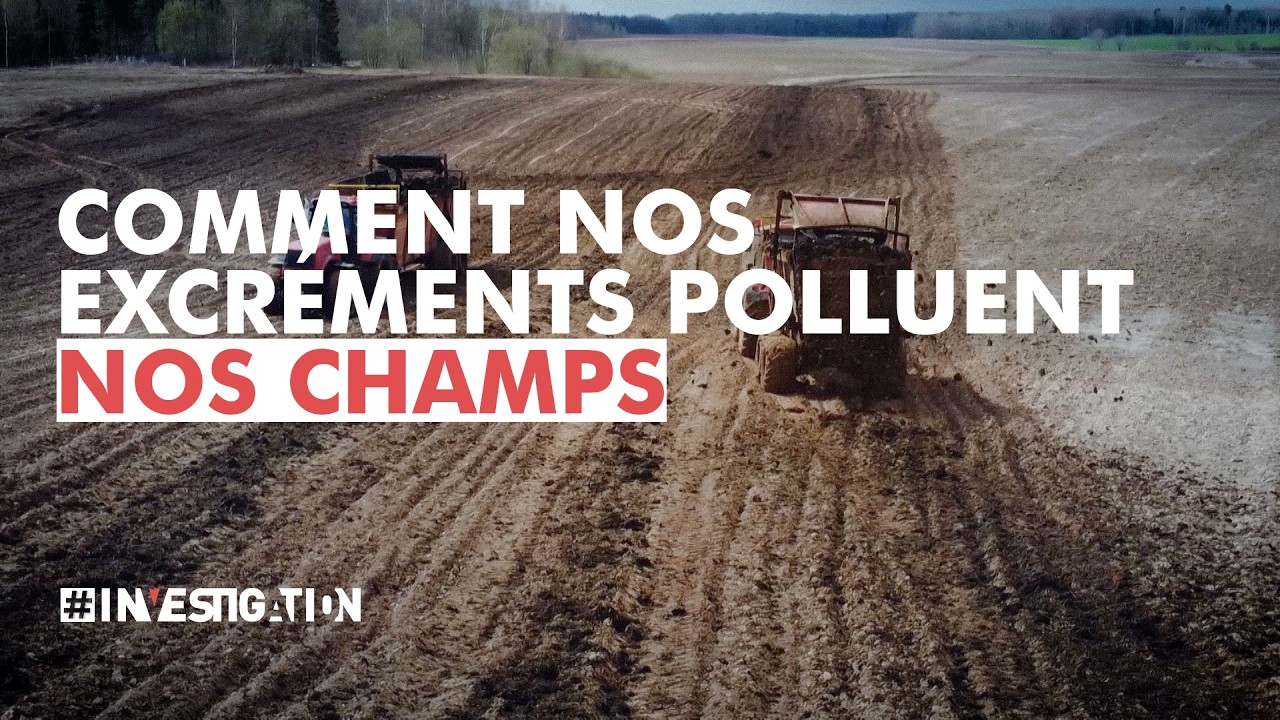 Boues d'épuration : nos terres empoisonnées  | #Investigation