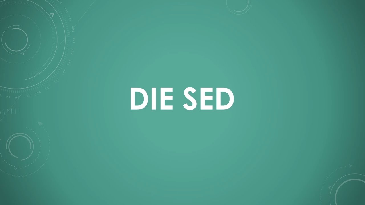 Die SED einfach und kurz erkl&auml;rt