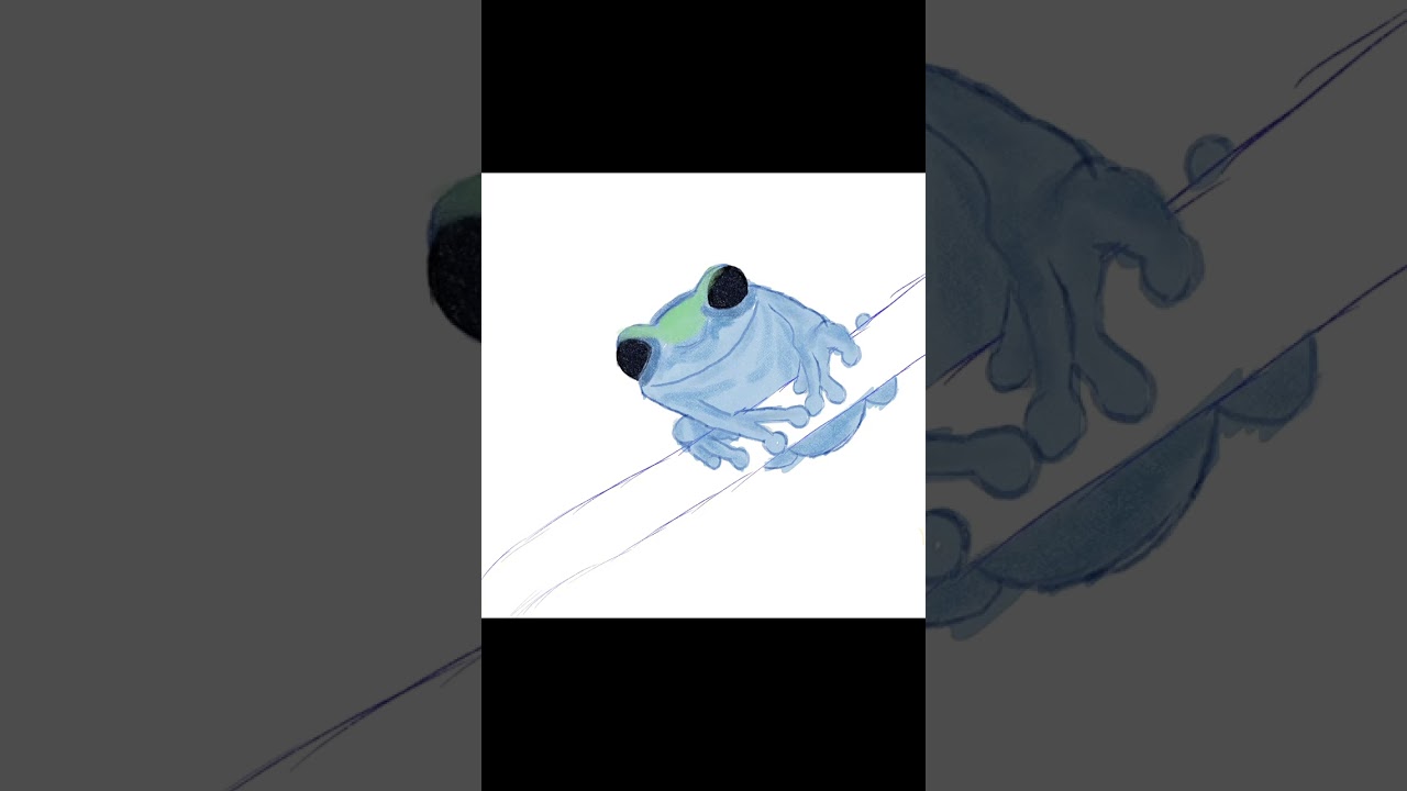 Drew this frog on clip studio