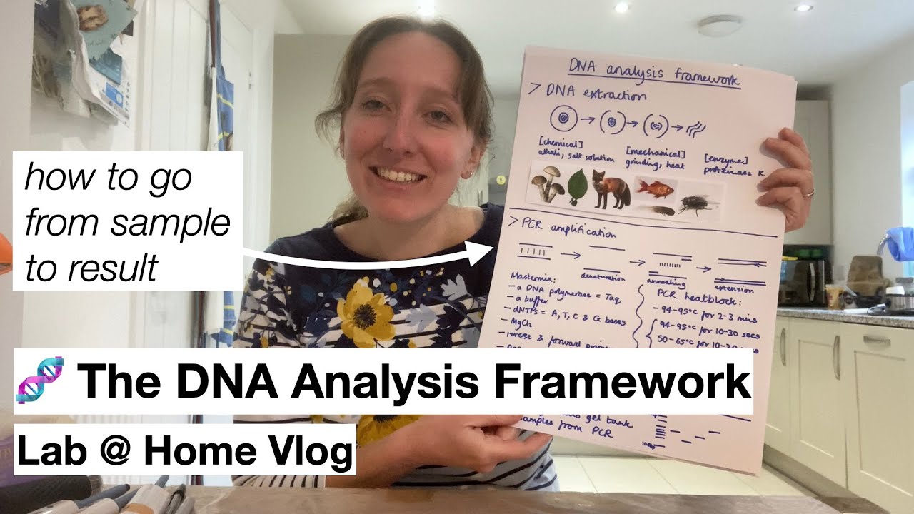 🧬 The DNA Analysis Framework Explained: Extraction, PCR, Electrophoresis (Lab @ Home Vlog)