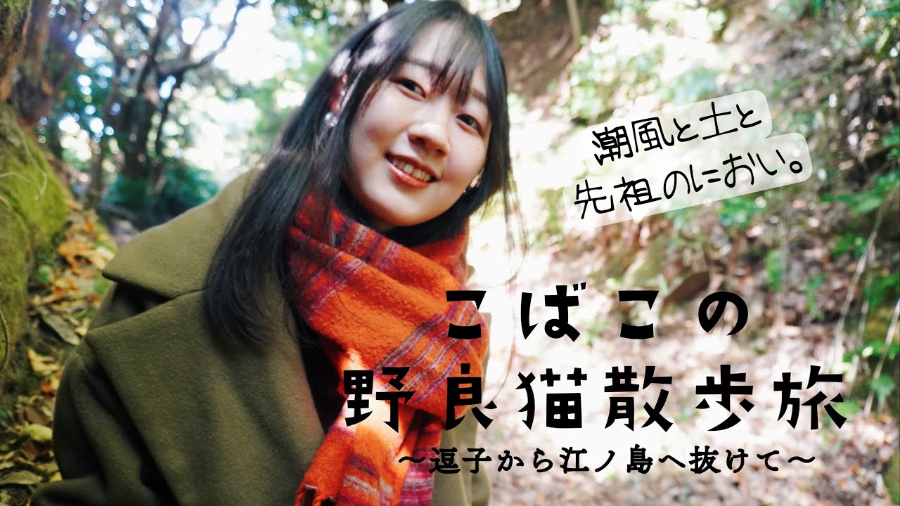 【朝散歩】逗子海岸から名越切通しを越えて