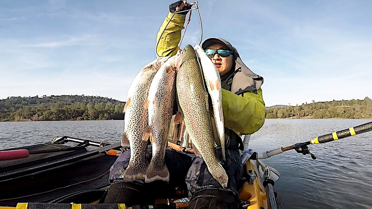 I LOVE This Lake: ALL QUALITY Rainbow Trout at Collins Lake