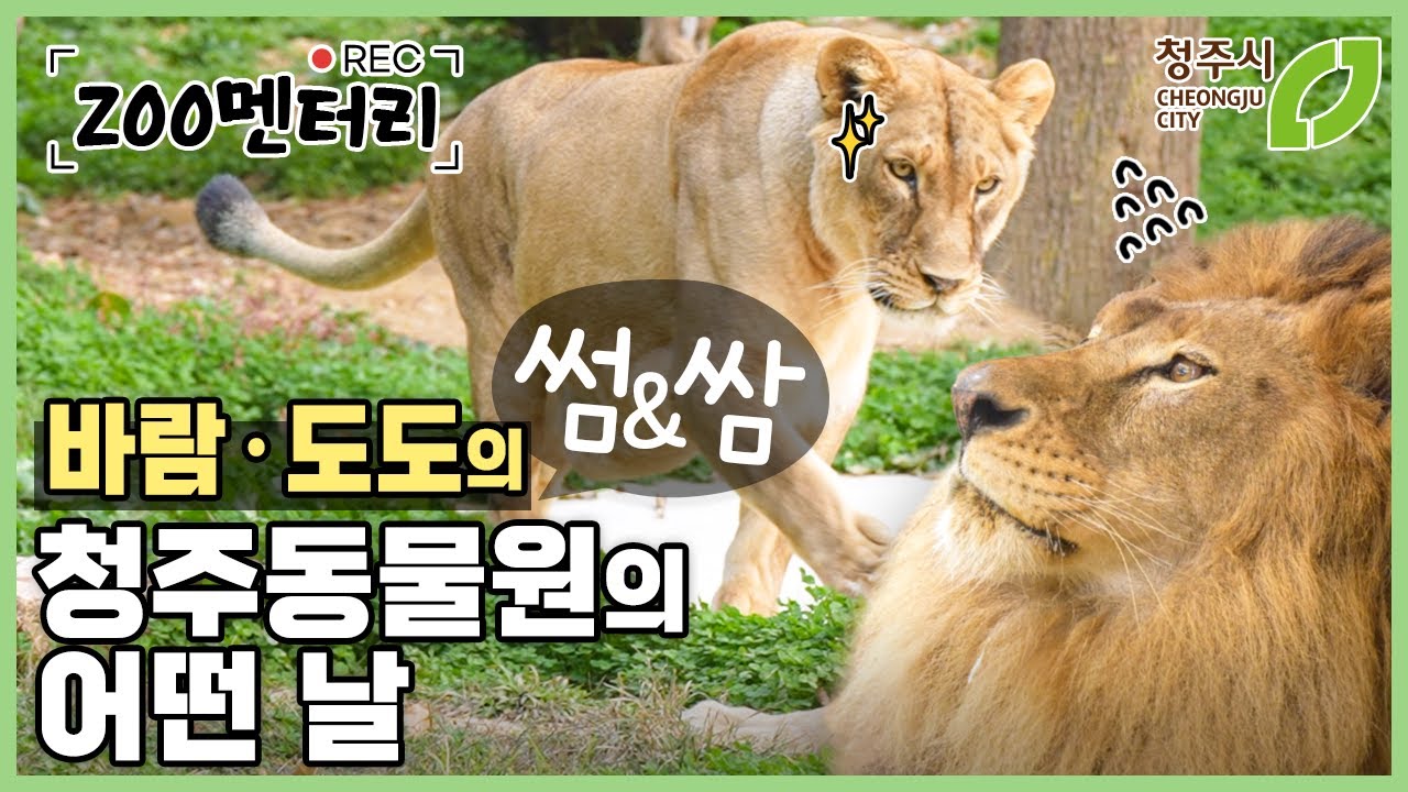 바람이 도도 합사 성공했ZOO! 썸일까? 쌈일까?  바람이와 도도의 썸&쌈