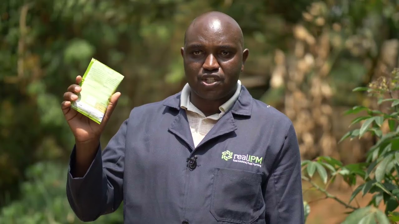 GRO PLUS , A seed coating fertilizer
