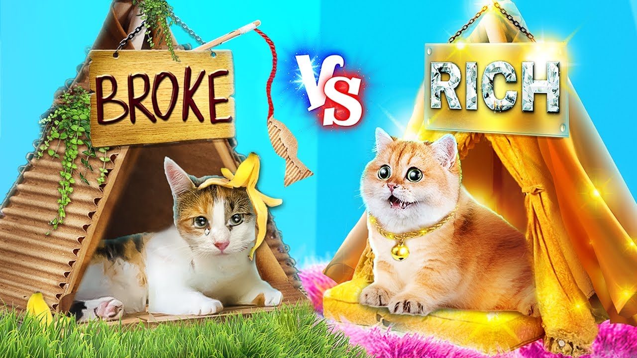 リッチな姉とビンボーな妹！クローゼットの中の猫の秘密の部屋