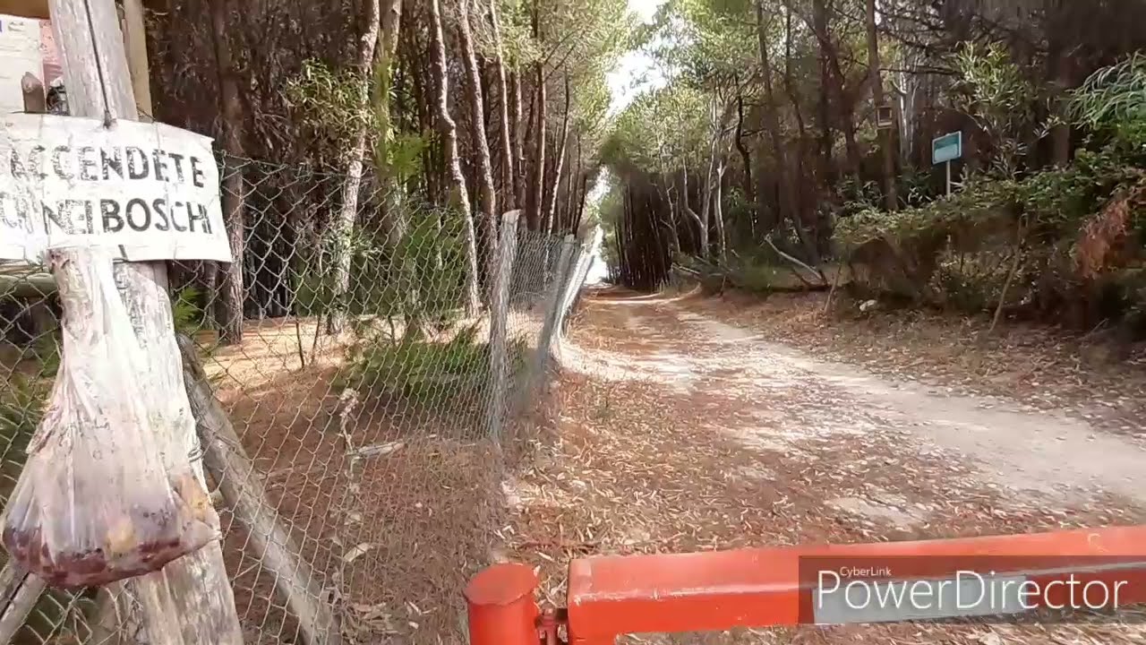 Pineta di Petacciato, patrimonio da salvare