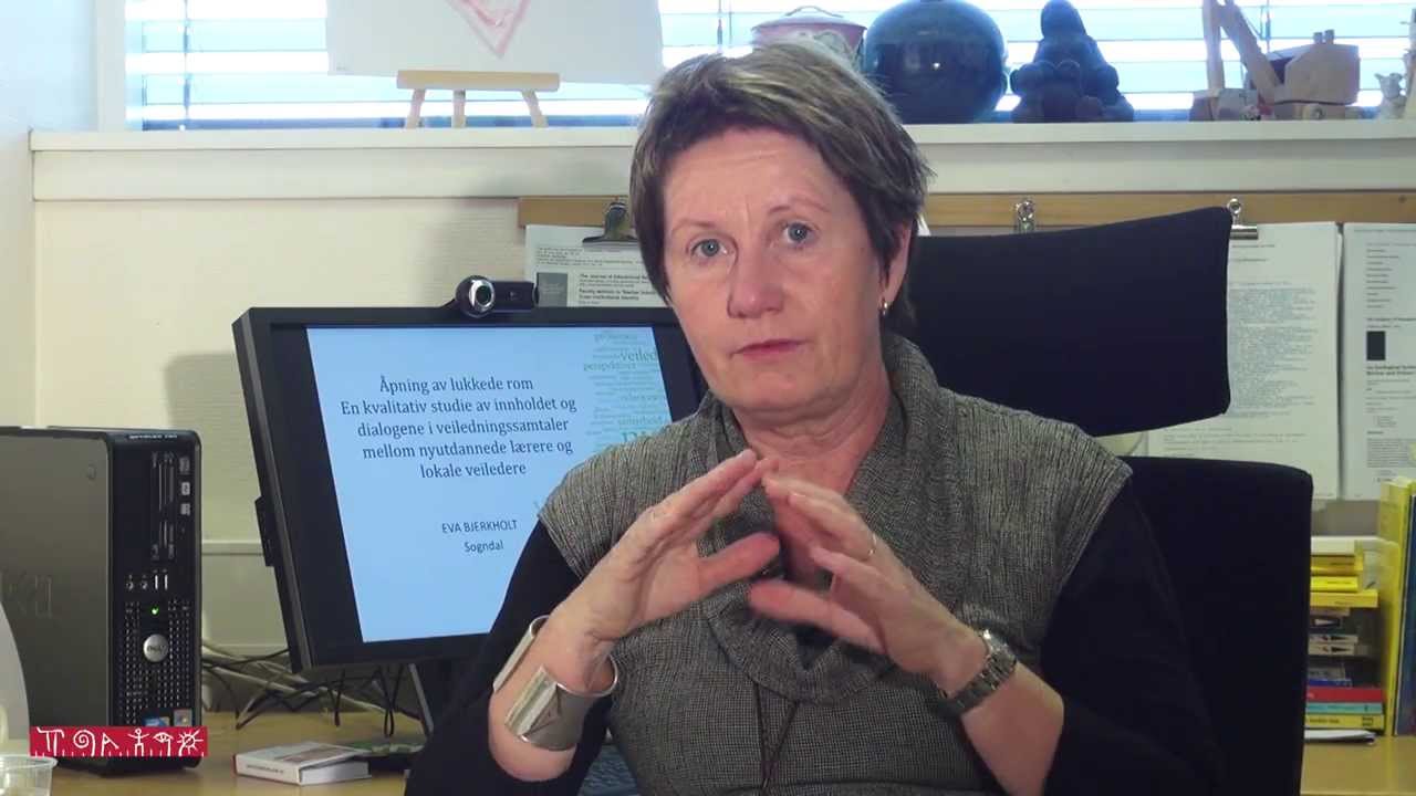 Innholdet i veiledningssamtalene