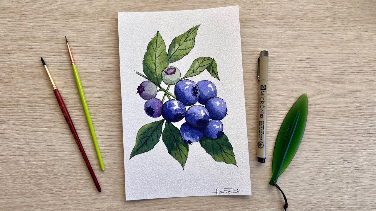 Paint a juicy blueberry watercolor study with me | paint n sip #116 real time watercolor tutorial
