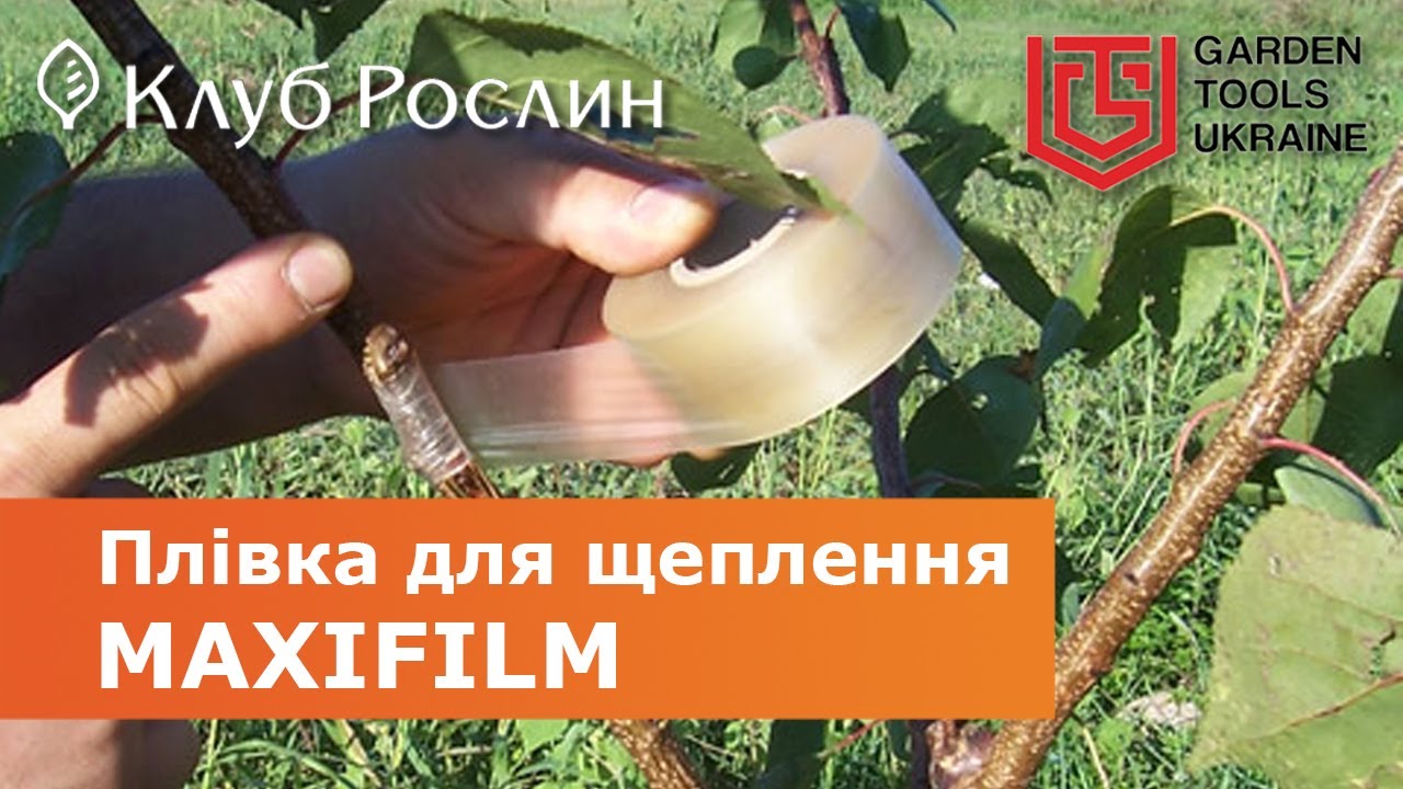 Пленка для прививки растений MaxiFilm (Италия)
