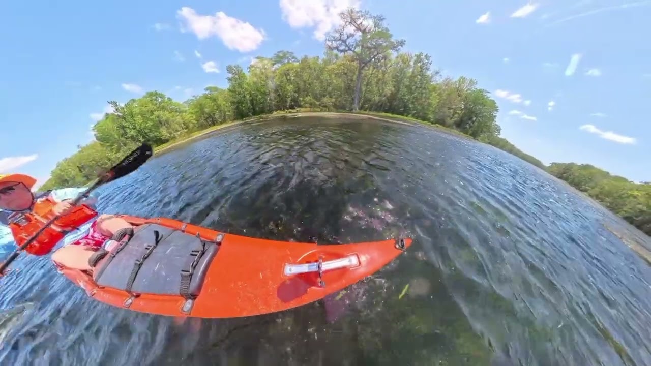 Paddling the Wacissa River