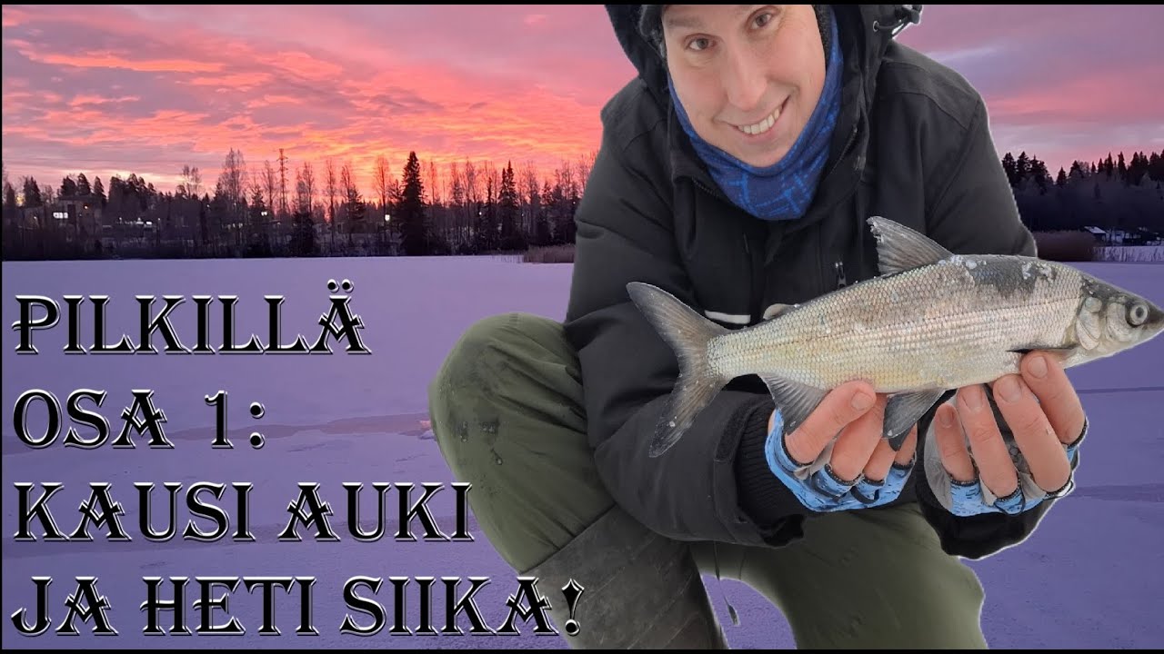 PILKKIMINEN ALKAA!! 🐟 PILKILLÄ OSA 1: HETI SIIKA!!🥶JOULUKSI GRAAVISIIKAA❄️ MORRI & TEKOTOUKKA TOIMII