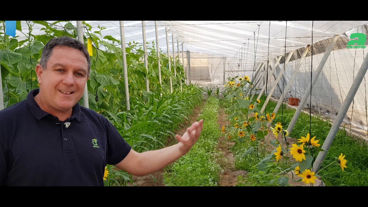 La biodiversidad y su aporte a los cultivos de invernadero