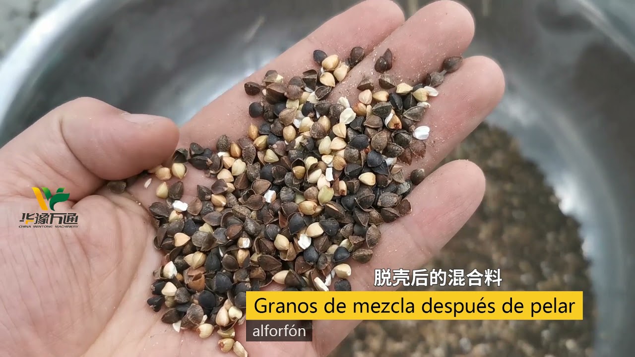 Peladora de alforf&oacute;n O trigo sarraceno