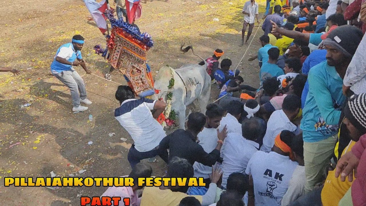 PILLAIAHKOTHUR FESTIVAL PART 1 @msbull8651