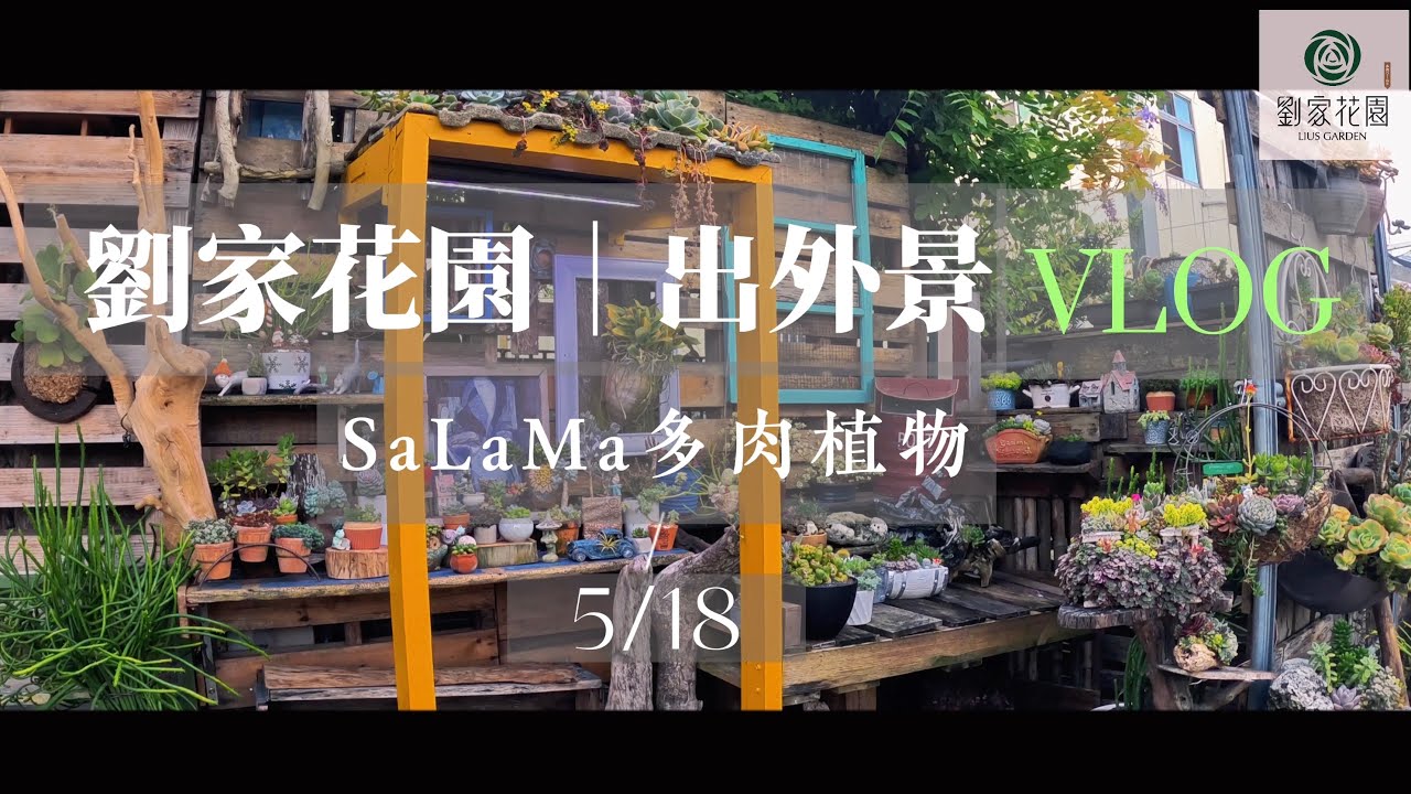 劉家花園— 劉家花園出外景系列｜ 彰化 Sa La Ma多肉植物｜網美系多肉植物店家｜#劉家花園 #多肉植物 #景天科 #龍舌蘭