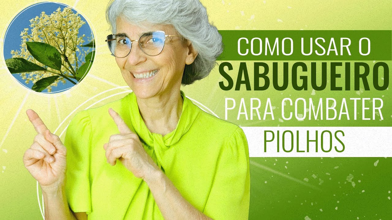Sabugueiro: ajuda contra gripe, diabetes, infecções, depressão.
