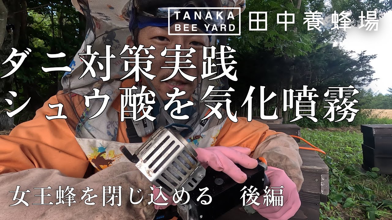 ダニ対策にシュウ酸を気化噴霧　女王蜂を閉じ込めた　後編