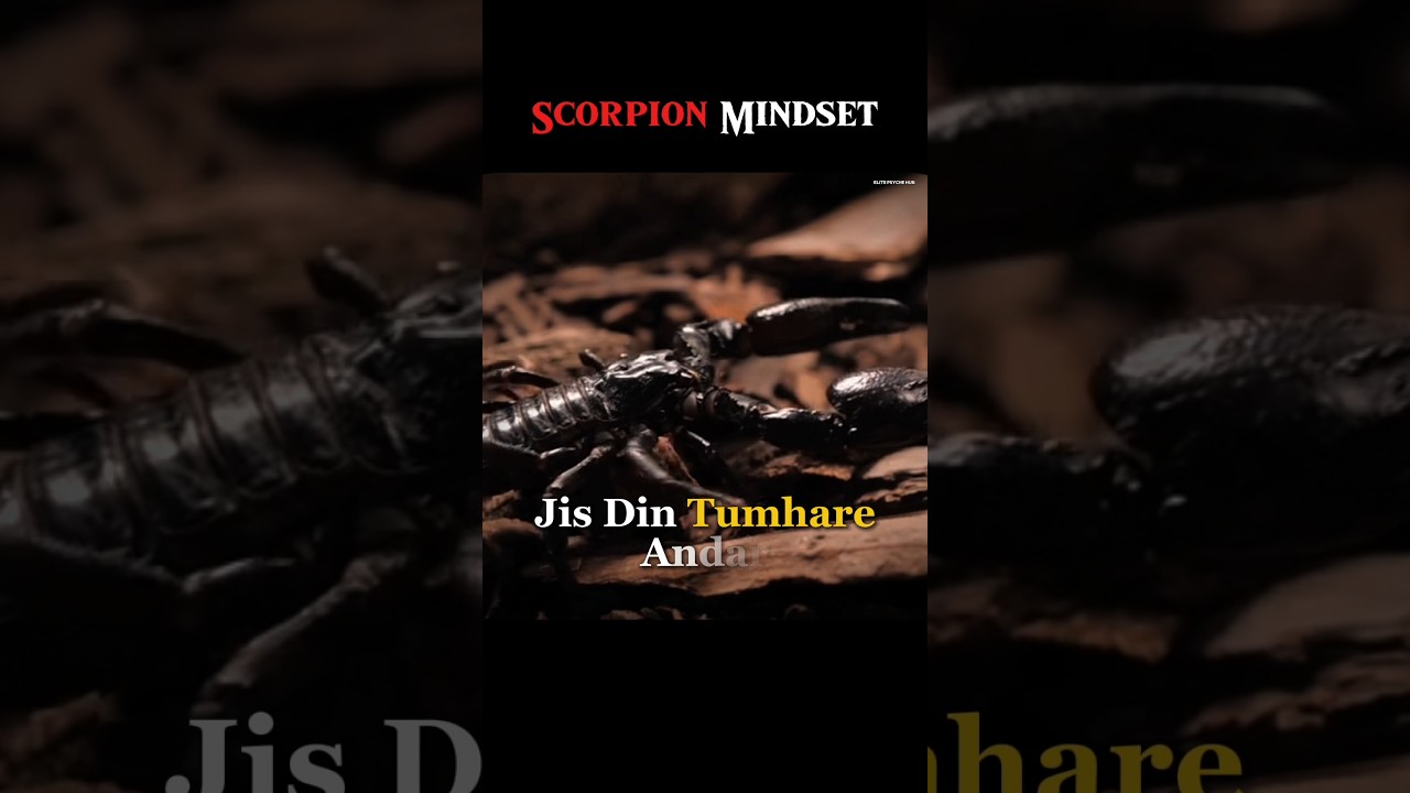 Scorpion Mindset: 4 Rules That Make People Respect You in Silence | Dark Psychology 