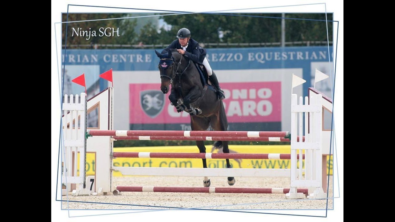 Ninja SGH - Riccardo Migli - Campionati Giovani Cavalli 2016