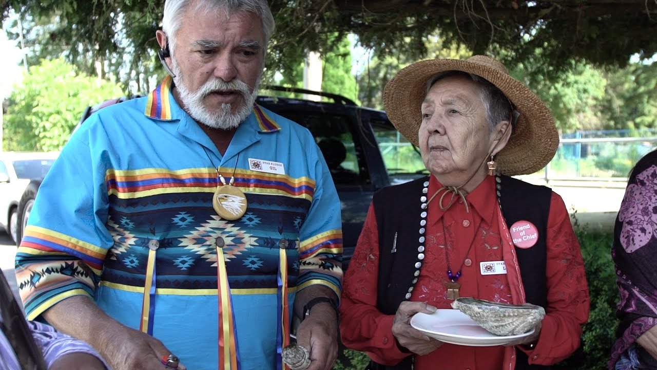STAR Elders Program