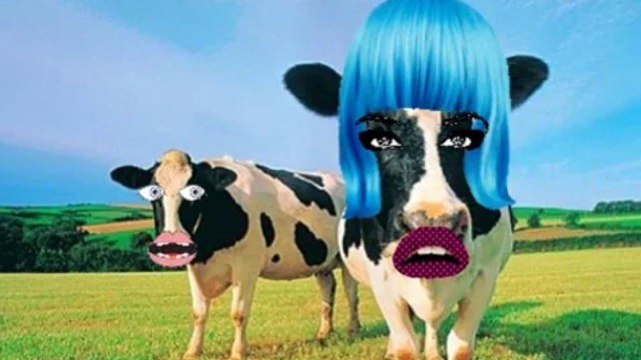 NEW COW VIDEO 00 Cow Dance &Cow Song||Cow dance Remix#Funny Cow dance@Playcow@Bull Bull TV