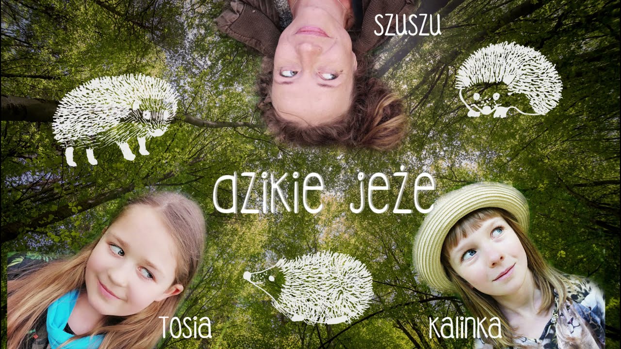 Dzikie Jeże  - Śpiewamy i dbamy o dziką przyrodę :)