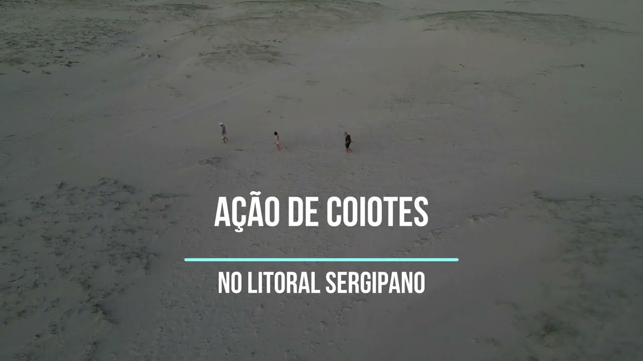 Coiotes na Praia do Abaís