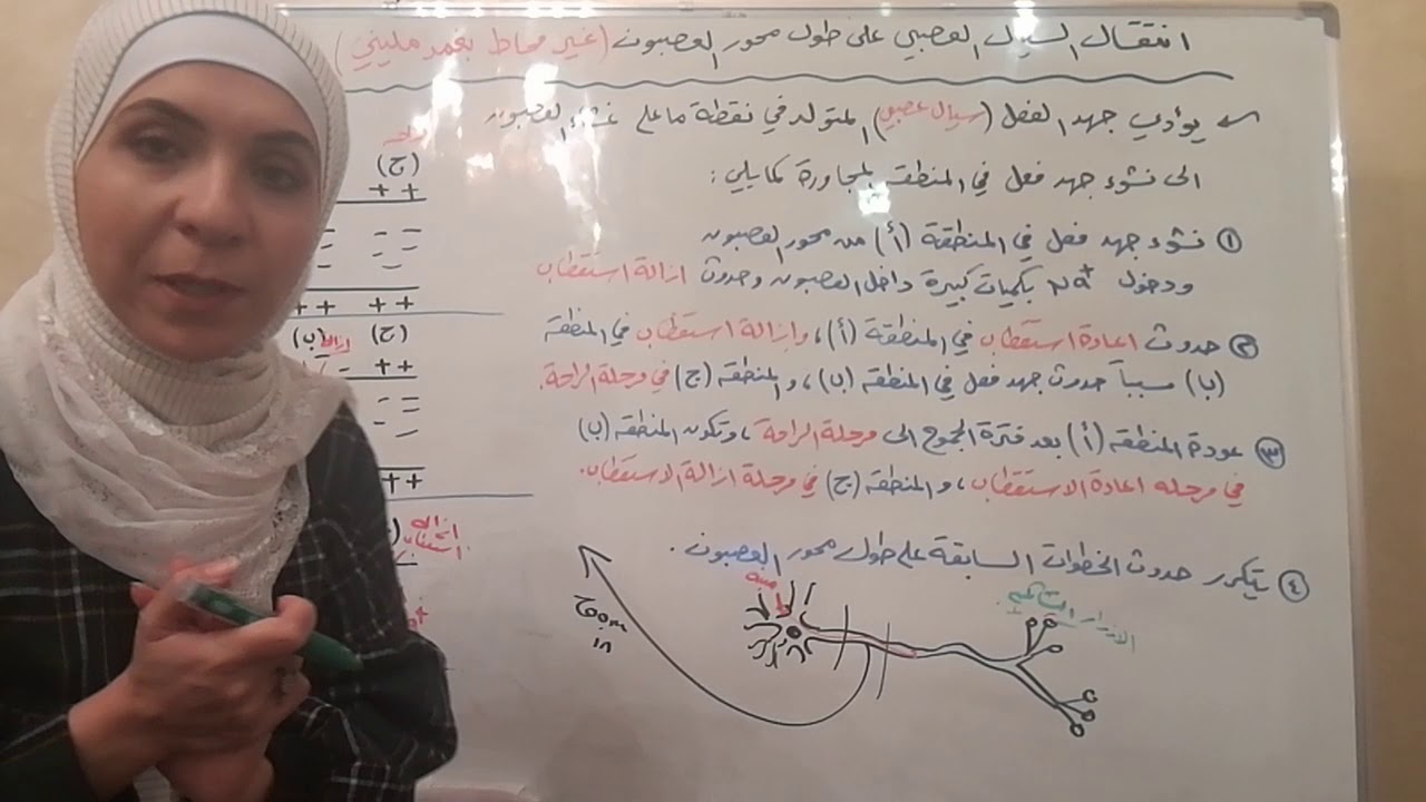 توجيهي/سيال/انتقال السيال العصبي على طول محور العصبون.