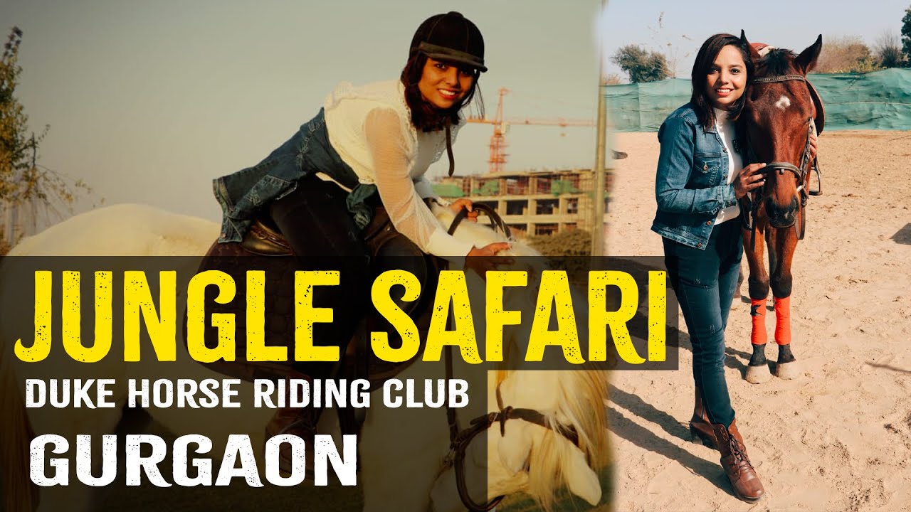 Duke Horse Riding club Gurgaon | jungle safari | joyride on horse | horse riding near Delhi |Gurgaon