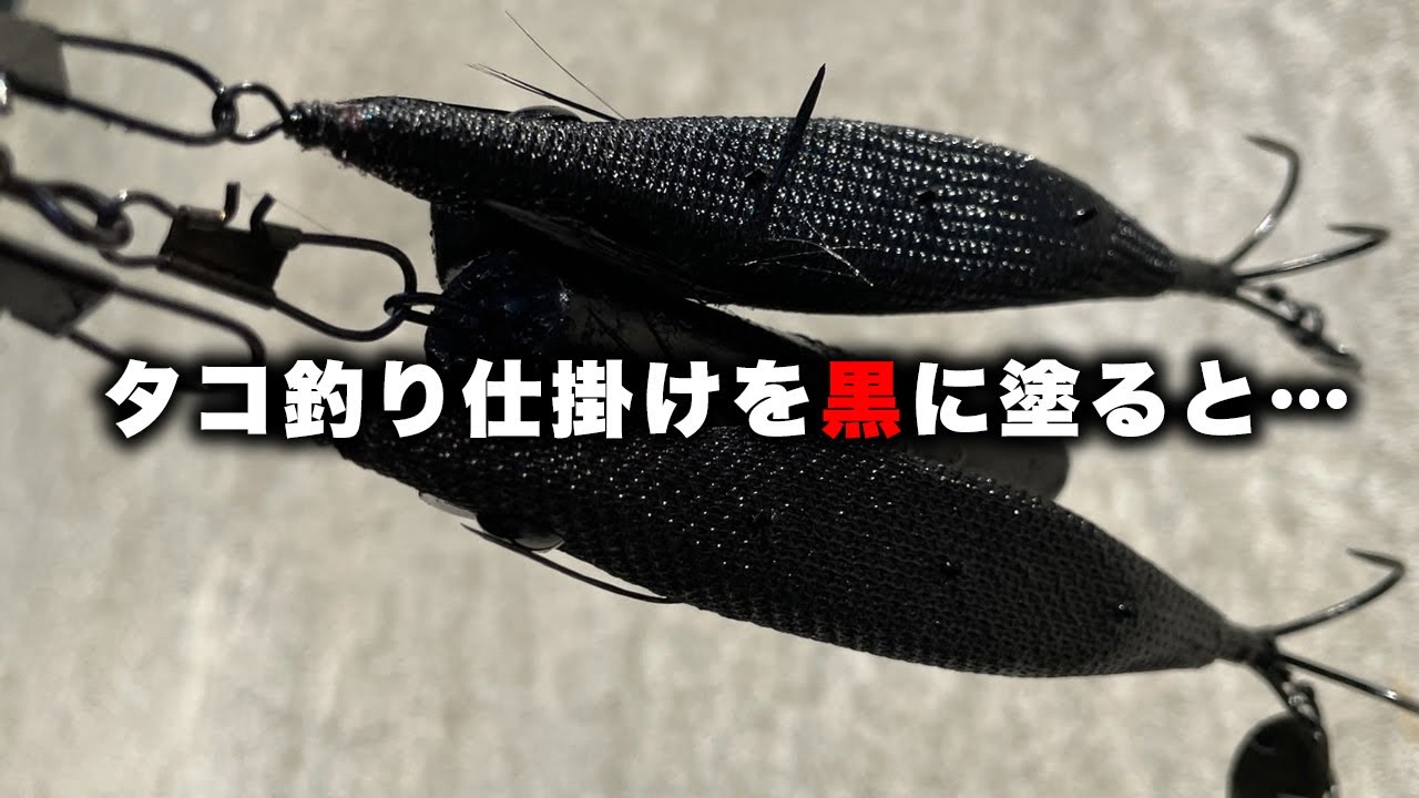 タコ釣り仕掛けを真っ黒に塗ると驚愕の釣果が出ました