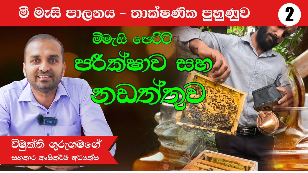 මී මැසි  පාලනය තාක්ෂණික පුහුණුව - 2   -  මී මැසි පෙට්ටි නඩත්තුව සහ පරීක්ෂාව