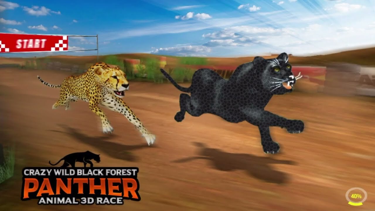 Crazy Wild Black Panther Race 3D