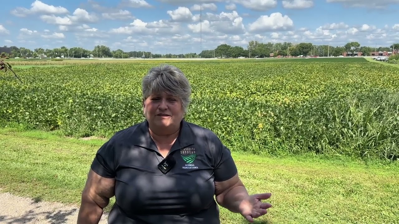 Future of Soy: Soybean Research Center Field Day