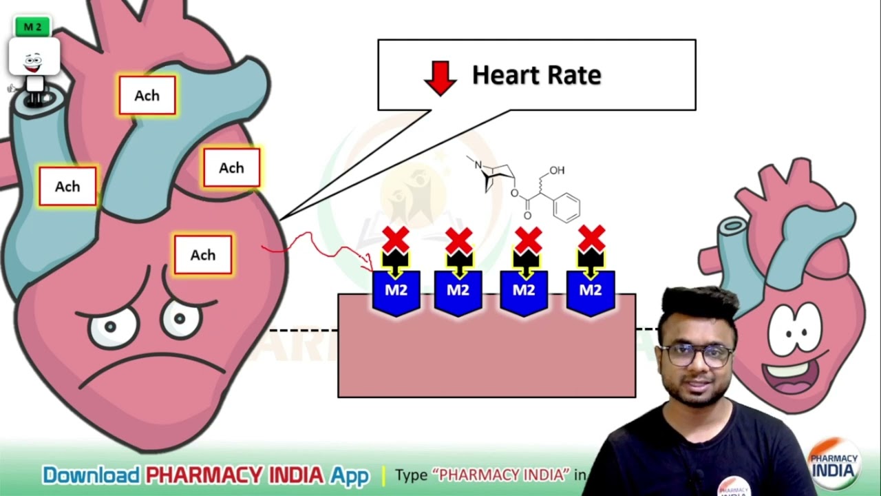 MECHANISM ACTION OF ATROPINE | PHARMACOLOGY