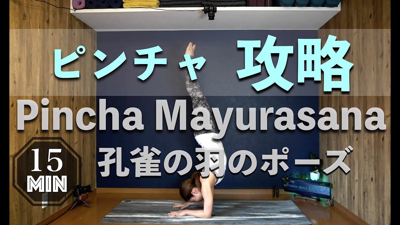 【ピンチャ攻略】孔雀の羽のポーズトレーニング方法 15分