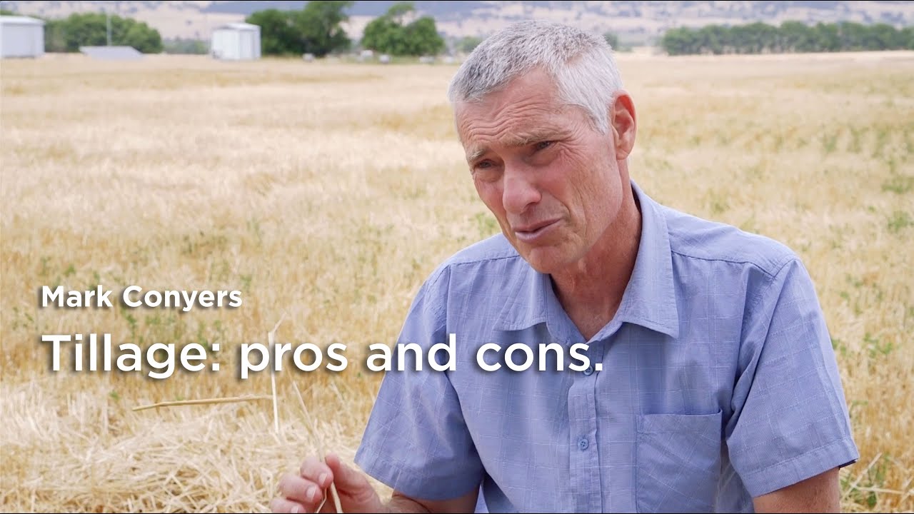 Mark Conyers: Tillage &ndash; good, bad or neither?