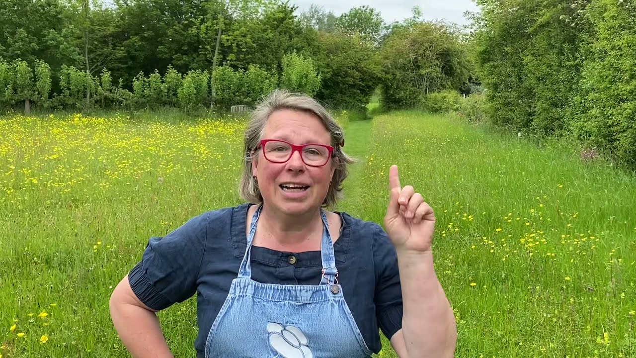 A tour of wildflower meadows