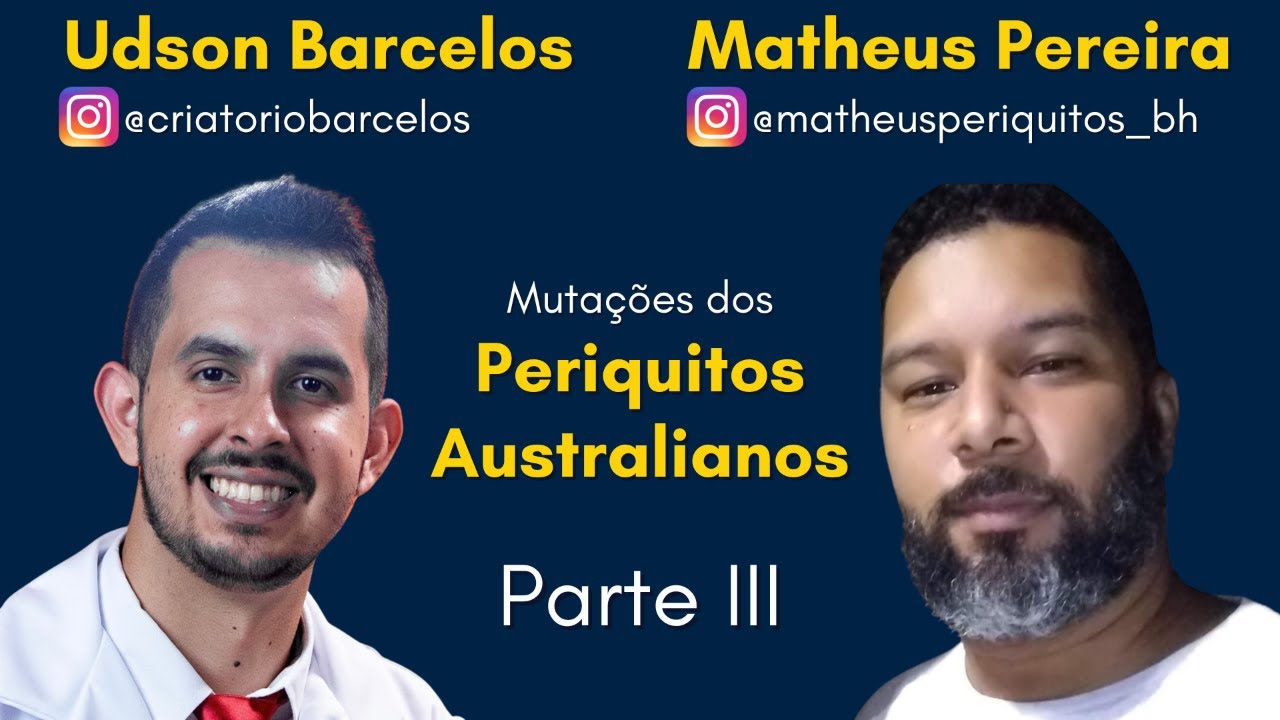 Mutações dos Periquitos Australianos - Parte III