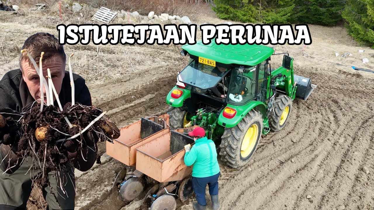 Nyt istutetaan perunaa - Käsin ja perunanistutuskoneella