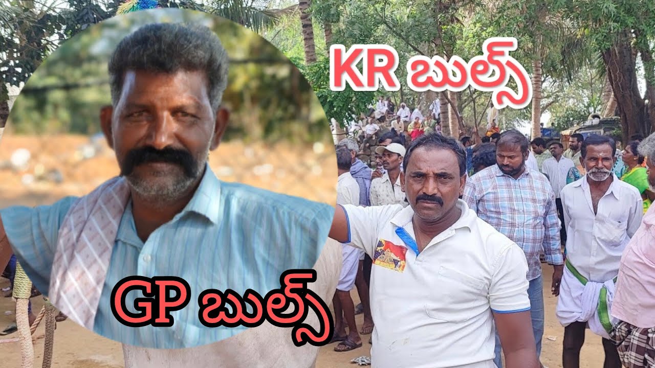 కల్లూరు సీనియర్స్ విభాగంలో 8వ జత KR బుల్స్ & GP చౌదరీ పెద్ద జత