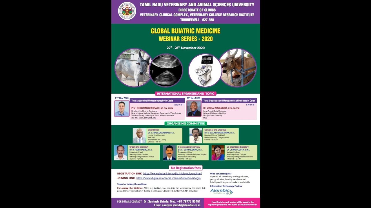 Abdominal Ultrasonography in Cattle
