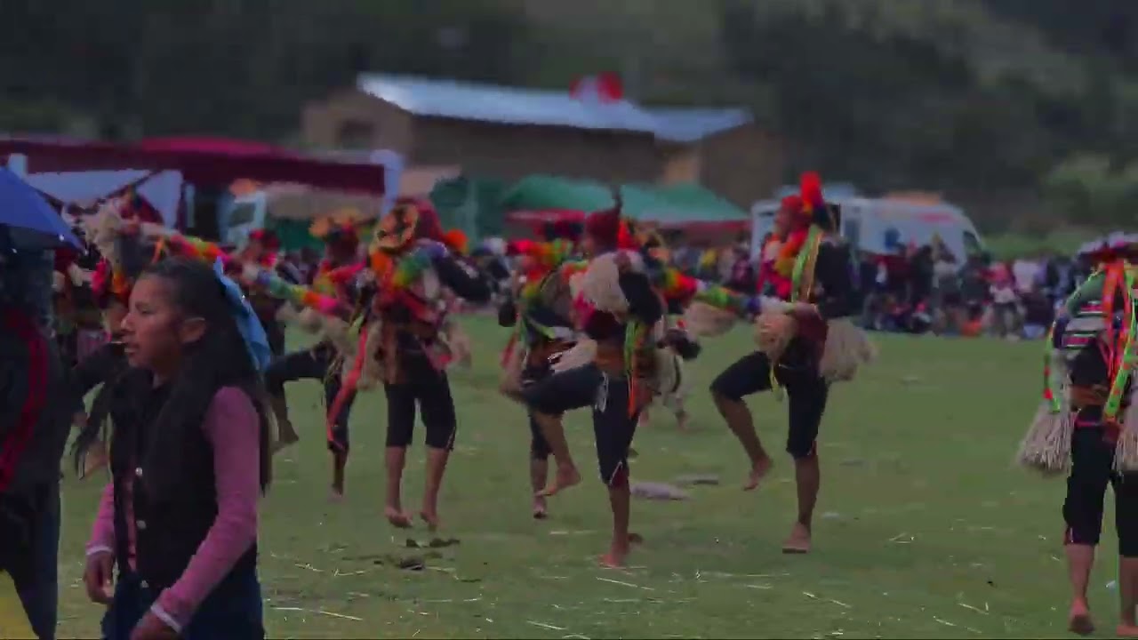 Última presentación de la danza qanchi de mamuera