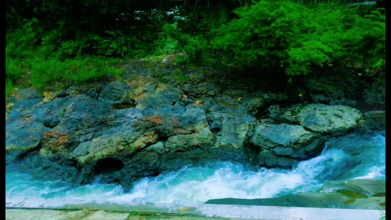 Deep Relaxation with Peaceful River Sounds  Calming Water Flow.