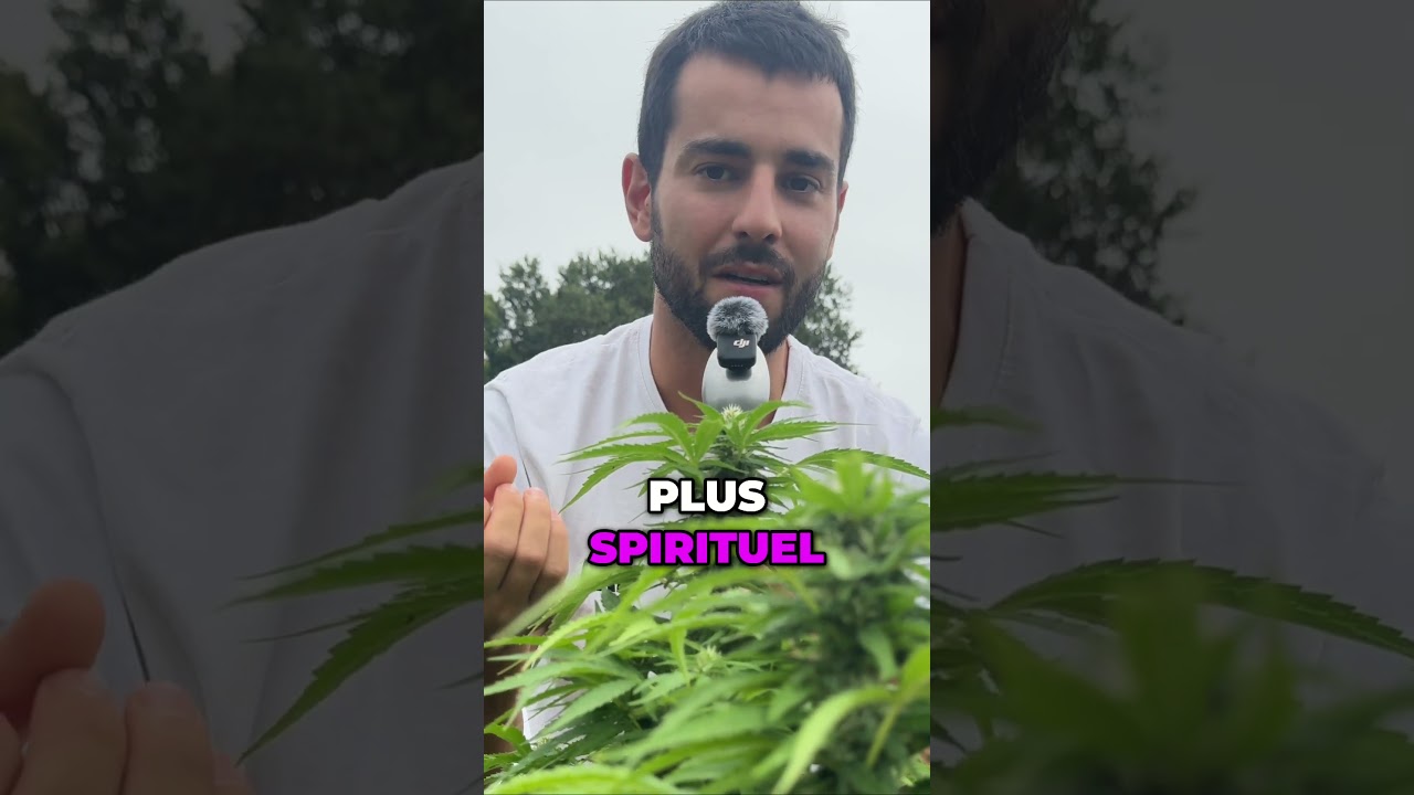 Le vrai hash