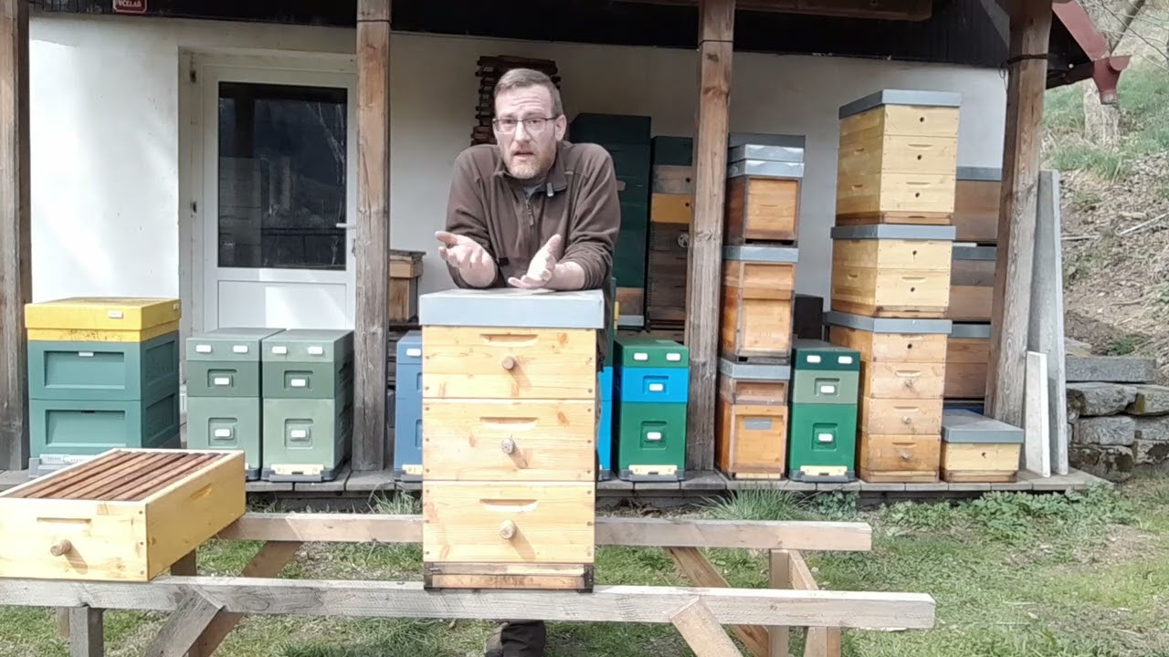 První rozšiřování včelstev a 