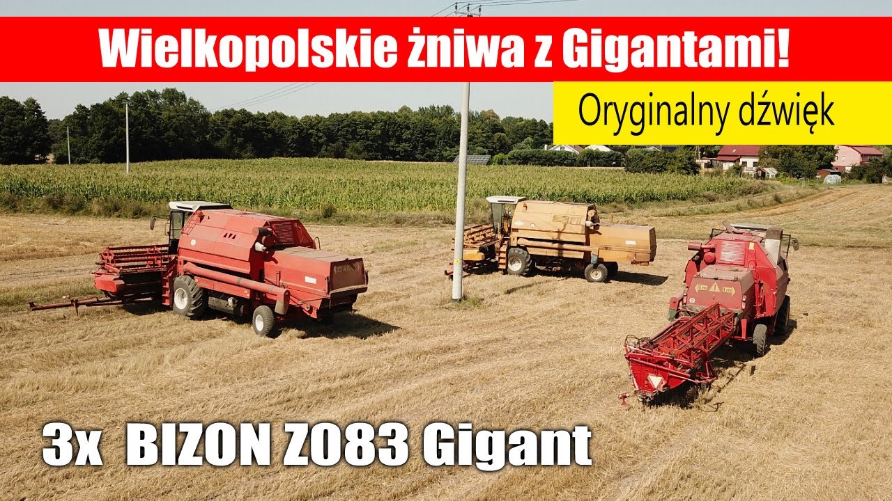 3x Bizon Z083 Gigant – Wielkopolskie żniwa 2025 (oryginalny dźwięk!)