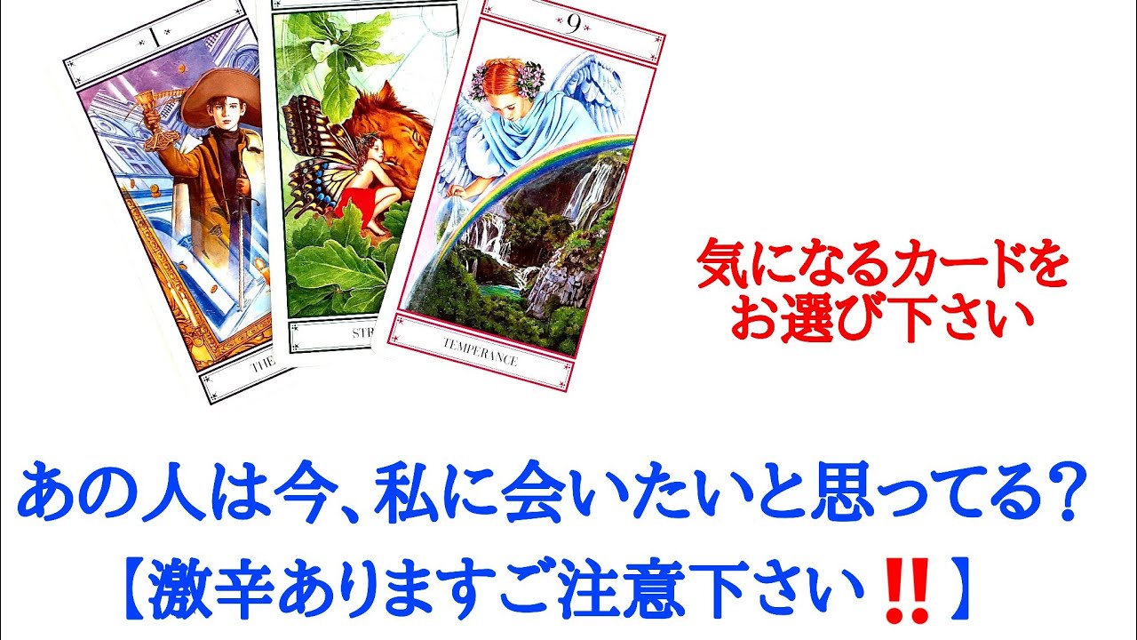 🌹恋愛タロット・オラクル占い🌹【激辛選択肢あり今は会いたくないという結果あります😣ご注意下さい‼️】あの人は今、私に会いたいと思っていますか？お相手様の現状とあなたへの気持ち
