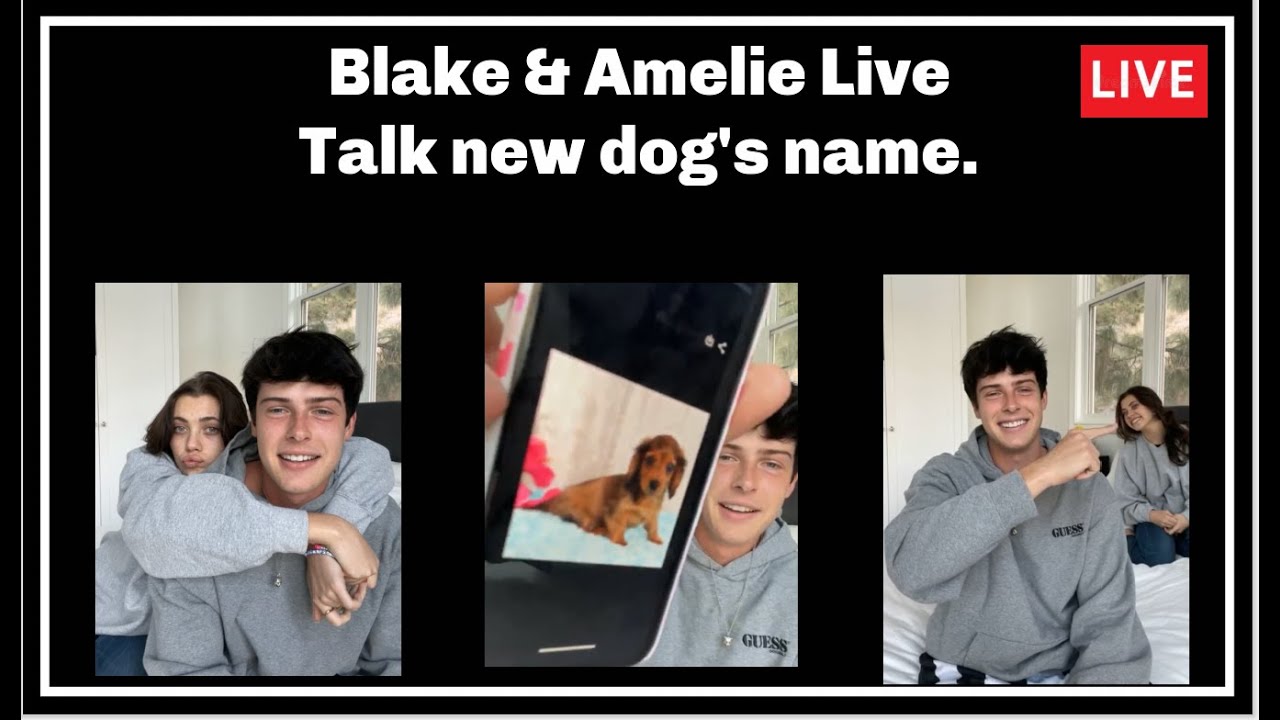 Blake and Amelie Live.  Talk New Dog's name...