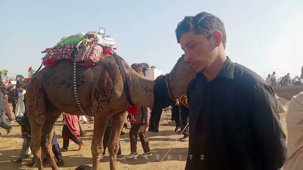kalyam sharif ! kalyam sharif mela 2026! kalyam sharif rawalpind